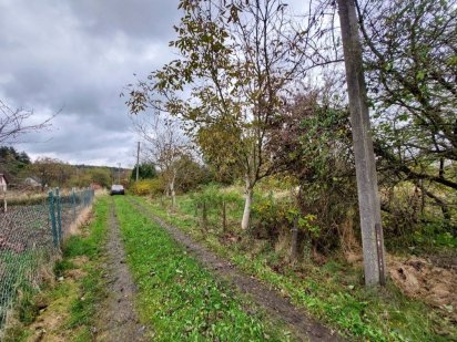 Продаж дачної земельної ділянки 4 сот м. Дрогобич Дрогобыч