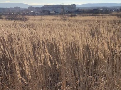 Земельна ділянка по вул.Наливайка Дрогобыч