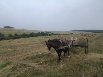 Продам землю (пай) Дубно