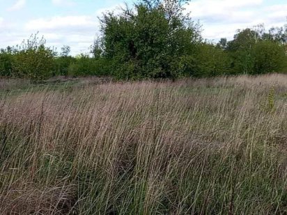 Без комісії!! Продаж земельної ділянки під Києвом Гостомель