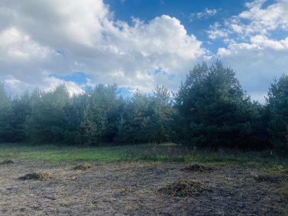 Продам ділянку під дачу Грядки Дубно