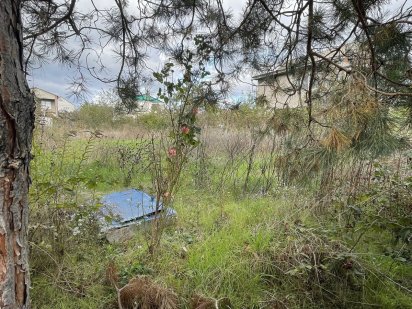 Ділянка біля озера СО ЗАРЯ