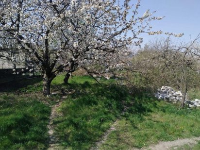 Продам участок пригород Черноморска сог Волна Чорноморськ