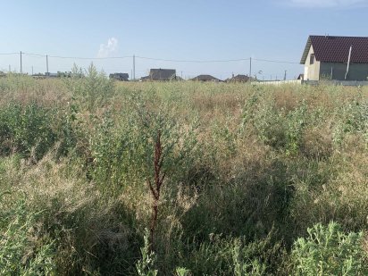 Продам участок Новое Бугово, Черноморск Чорноморськ