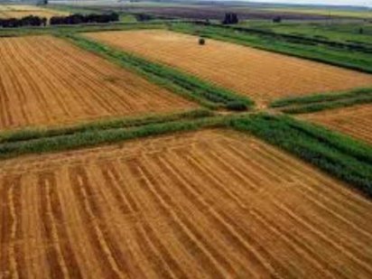 земля промислового призначення Кам'янець-Подільський