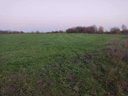 дiлянка в с.Сл.Кульчиiвецька Кам'янець-Подільський