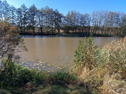 Велика ділянка зі своїм пляжем