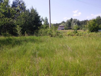 Продається участок в дачному кооперативі недалеко від Канева Канев