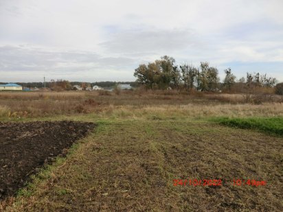 Продажа землі с. Ліпляве Канев