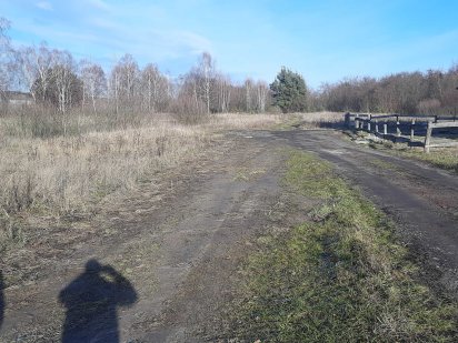Земельна ділянка під забудову Дубівська громада Ковель