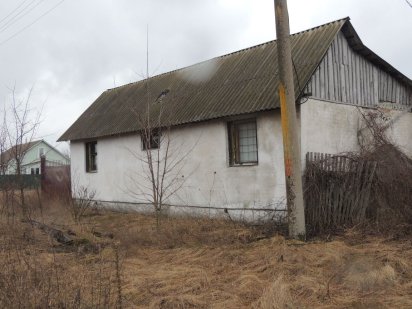 Участок в районе лесхоза Конотоп