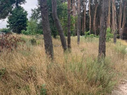 Продам земельну ділянку під будівництво Коростень