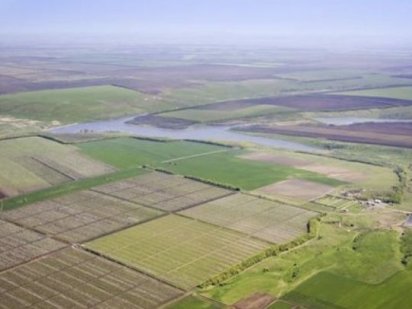 -Продаю землю (2ГА)- Коростень