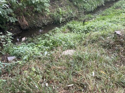 Продається земельна ділянка