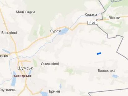 Продам земельну ділянку (пай) 2,46га с.Сураж Кременец