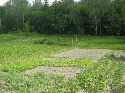 Продаю ділянки - 3 і 4 сотих, під забудову в м. Кременець Кременец