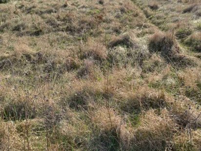 продам земельный участок г.Мерефа р-н (Поле чудес) ул. Рождественская