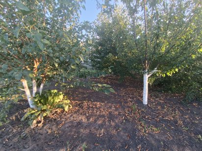 Земельна ділянка Миргород