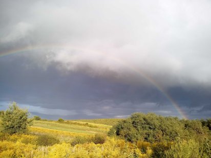 Земельный участок Мукачеве