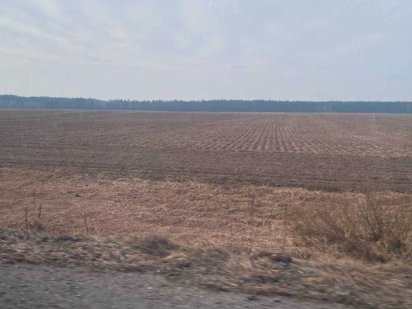 Продам пай 10 га.. Нежин