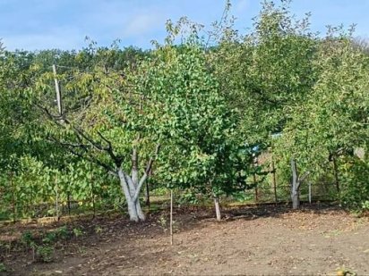 Продам земельну ділянку Новоднестровск