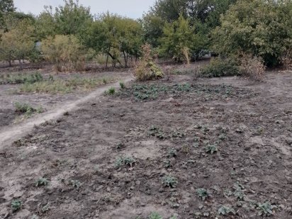 Земельна  ділянка Нове