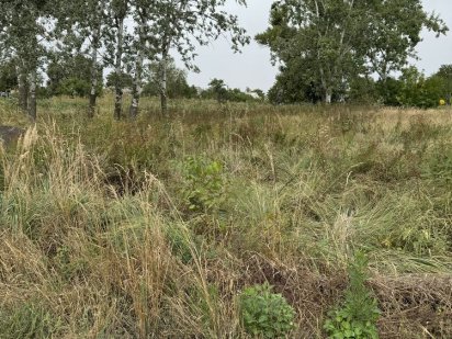 Продам ділянку зі свої берегом. «Глади» Самар