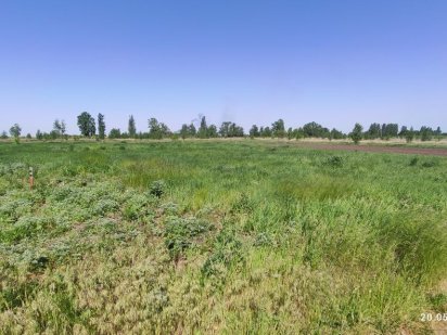 Земельна ділянка 10 сот. Обухів