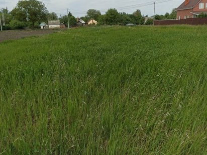 Земельна ділянка