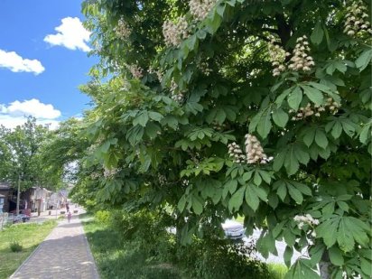 Ділянка 12соток м. Обухів, Київ 30 км.