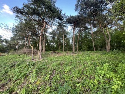 Земельна ділянка Ромны