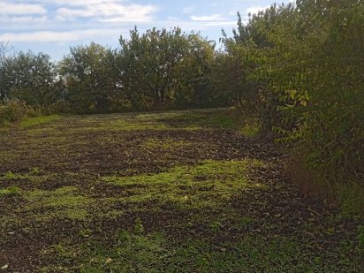 Земельна ділянка Обухів