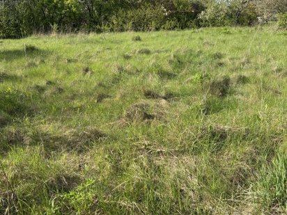 Чудова земельна ділянка Обухів