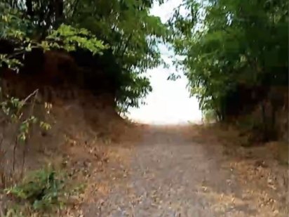 11 соток з вагончиком з виходом в Кременчузьке водосховище