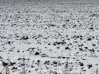 Земельна ділянка площею 2 га пд ОСГ. Прилуки