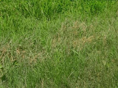 Участок під  город Прилуки