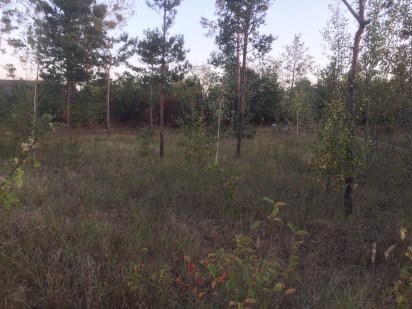 Земельна ділянка під будівництво Сарни