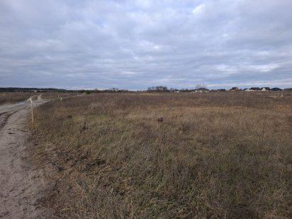 Земельна ділянка Сарни