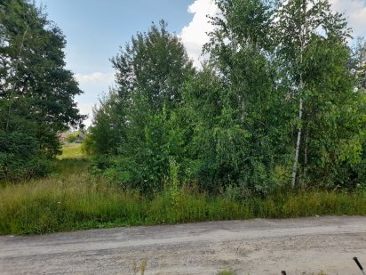 Продам земельну ділянку в с. Костянтинівка 19.сот. Сарни