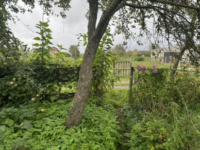 Дачна земельна ділянка під забудову Сарни