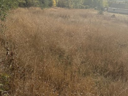 Продаж! Земельної ділянки Солоницівка Солоницівка