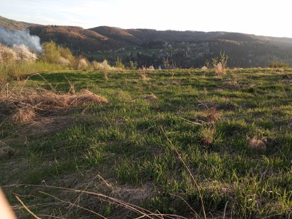 Земля 9,36 га гори Карпати Трускавецьке Отг Трускавец