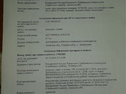 Земельна ділянка 1 га призначення Придорожний сервіс Стрый