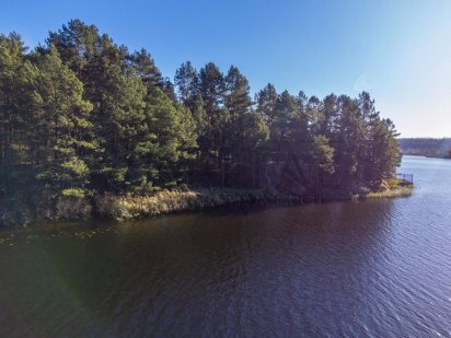 Земельна ділянка 40 соток з виходом на Стугну/Дніпро, сосновий ліс Новая Украинка