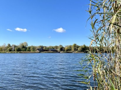 Ділянка , сосни ,85 соток з виходом на р. Дніпро , Українка Новая Украинка