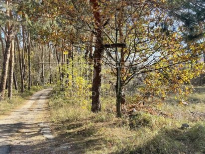 Земельна ділянка під будівництво Українка Обухівський район Новая Украинка