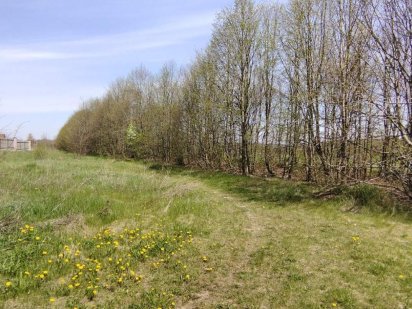 Земельна дiлянка р-н аеропорту Умань