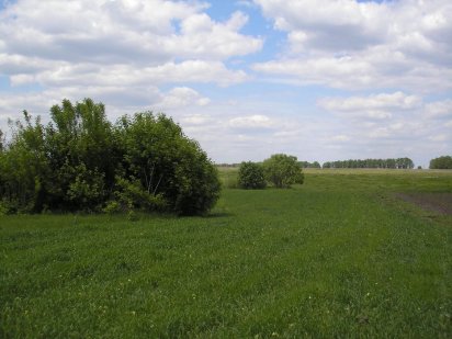 Участок под строительство Великая Снетинка Фастов