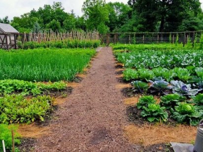 Земельна ділянка (поворот на Тиранівку) Хмельницький