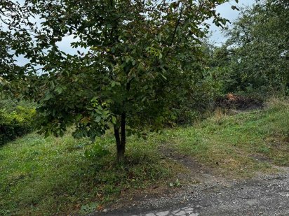 Земельна ділянка. Книжківці. СТ Будівельник Хмельницький